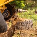 How To Prepare Your Garden For Stump Grinding
