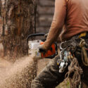 How To Find The Best Tree Services In Mackay Near Me